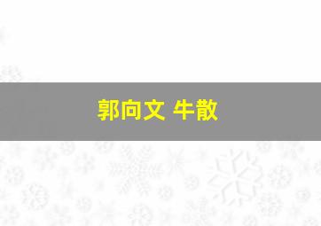 郭向文 牛散